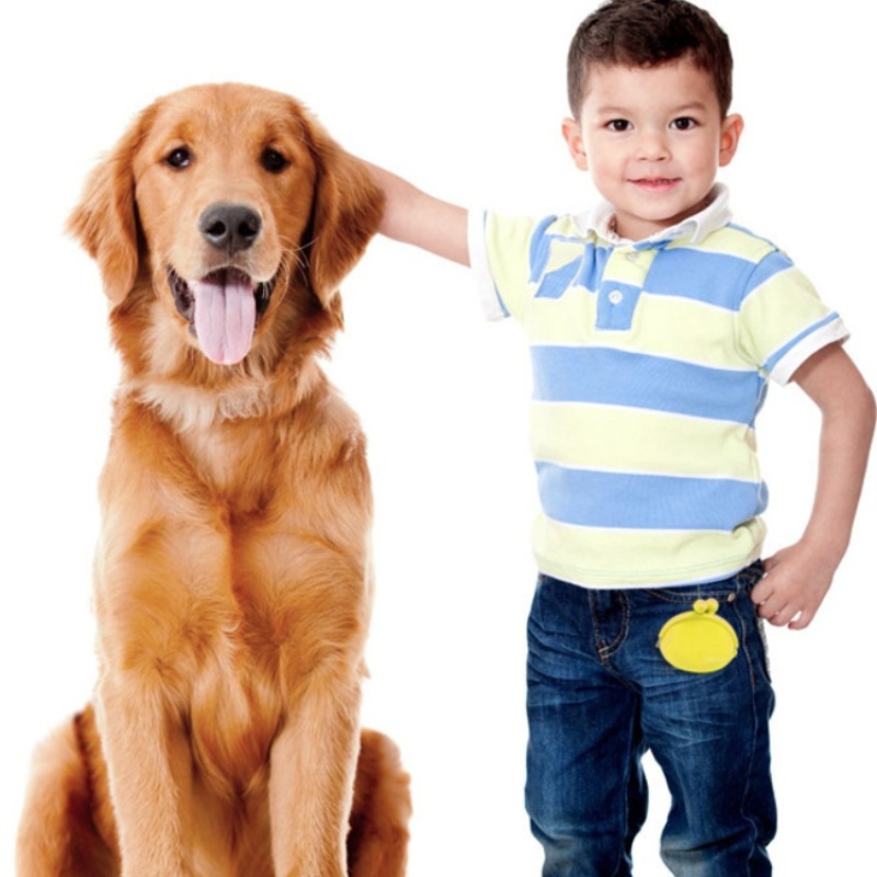 Portable Silicone Pet Snack Ba - Food Snacks For Hiking review and price